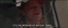 tumblr_mlerm8d2ID1qjnz97o2_500.gif